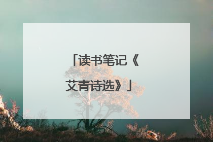 读书笔记《艾青诗选》