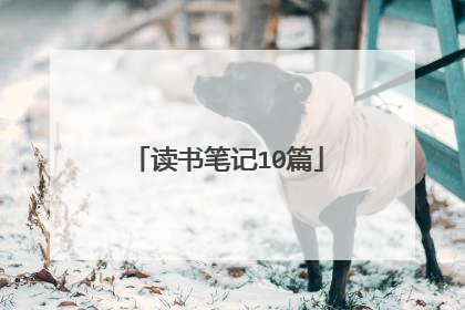 读书笔记10篇