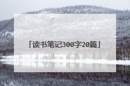 读书笔记300字20篇