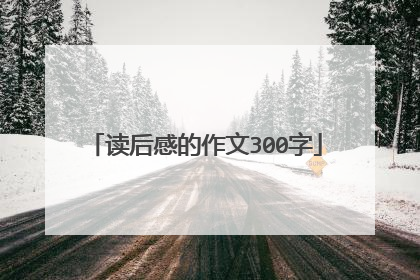 读后感的作文300字