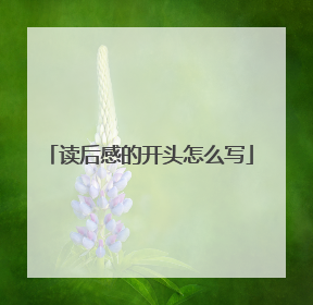 读后感的开头怎么写