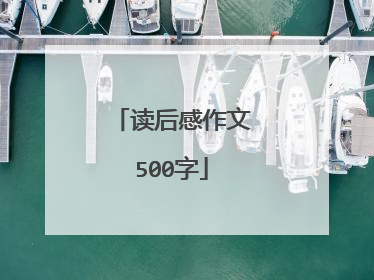 读后感作文500字