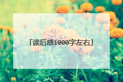 读后感1000字左右