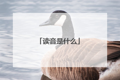 读音是什么