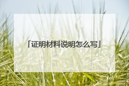 证明材料说明怎么写