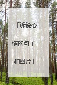 诉说心情的句子和图片