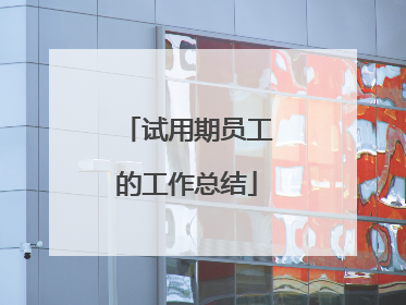 试用期员工的工作总结