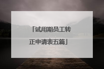试用期员工转正申请表五篇