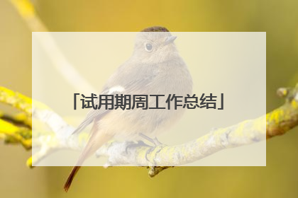 试用期周工作总结