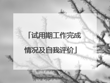 试用期工作完成情况及自我评价