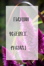 试用期转正的工作总结