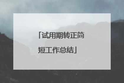 试用期转正简短工作总结
