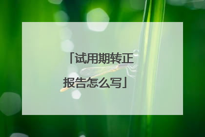 试用期转正报告怎么写