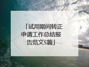 试用期间转正申请工作总结报告范文5篇