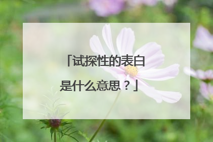 试探性的表白是什么意思？