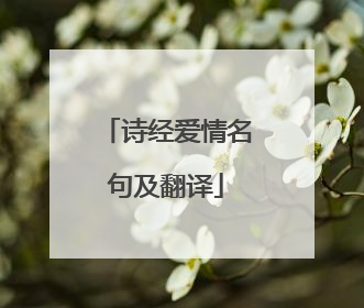 诗经爱情名句及翻译