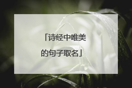 诗经中唯美的句子取名