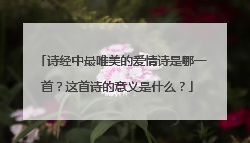 诗经中最唯美的爱情诗是哪一首？这首诗的意义是什么？