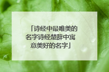 诗经中最唯美的名字诗经楚辞中寓意美好的名字