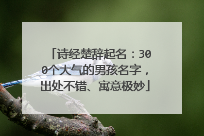 诗经楚辞起名：300个大气的男孩名字，出处不错、寓意极妙