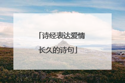 诗经表达爱情长久的诗句