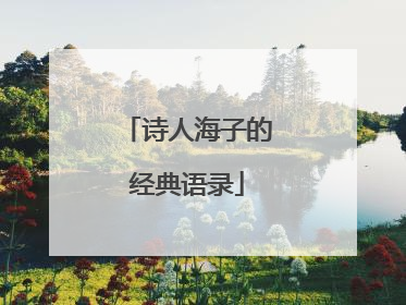 诗人海子的经典语录