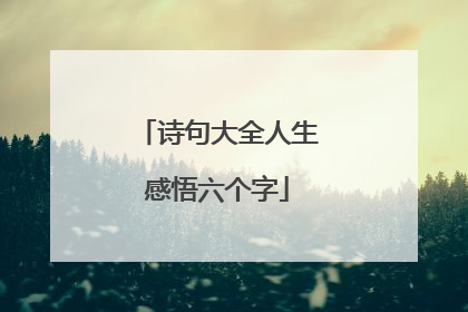 诗句大全人生感悟六个字