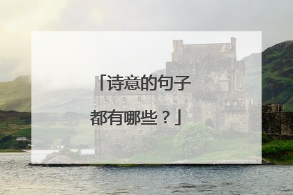 诗意的句子都有哪些？