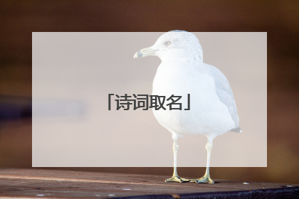 诗词取名