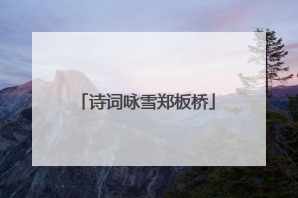 诗词咏雪郑板桥