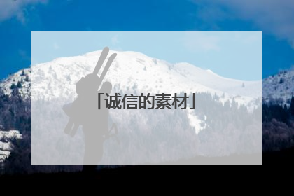 诚信的素材