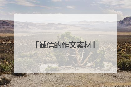 诚信的作文素材