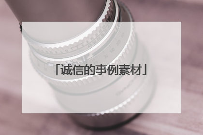 诚信的事例素材