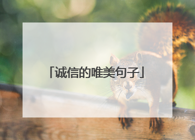 诚信的唯美句子