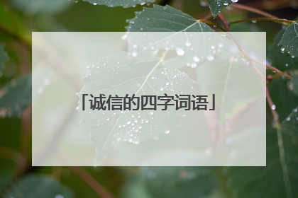 诚信的四字词语