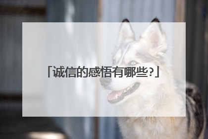 诚信的感悟有哪些?