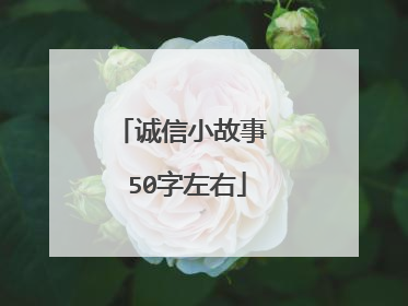 诚信小故事 50字左右