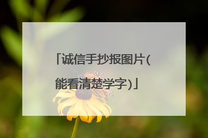 诚信手抄报图片(能看清楚学字)