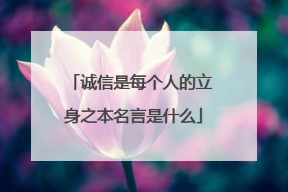 诚信是每个人的立身之本名言是什么