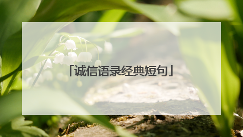 诚信语录经典短句