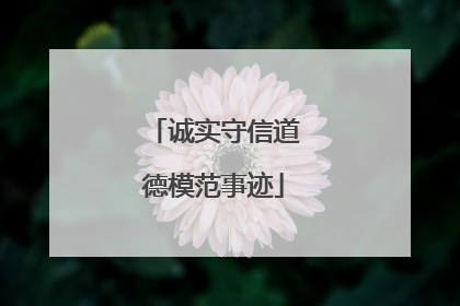 诚实守信道德模范事迹