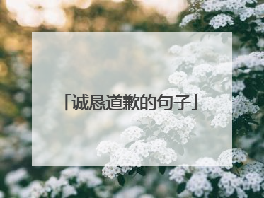 诚恳道歉的句子