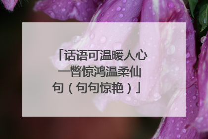 话语可温暖人心 一瞥惊鸿温柔仙句（句句惊艳）