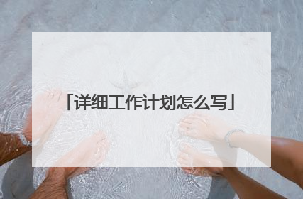 详细工作计划怎么写