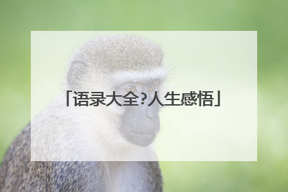 语录大全?人生感悟