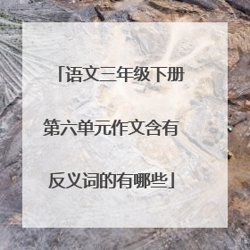 语文三年级下册第六单元作文含有反义词的有哪些