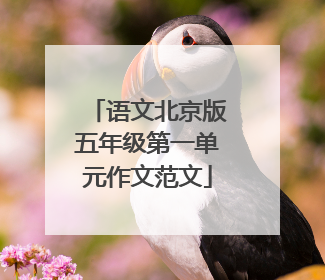语文北京版五年级第一单元作文范文