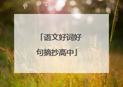 语文好词好句摘抄高中