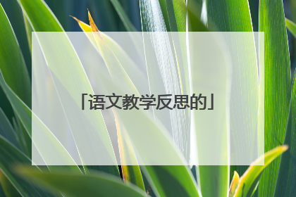 语文教学反思的