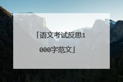 语文考试反思1000字范文